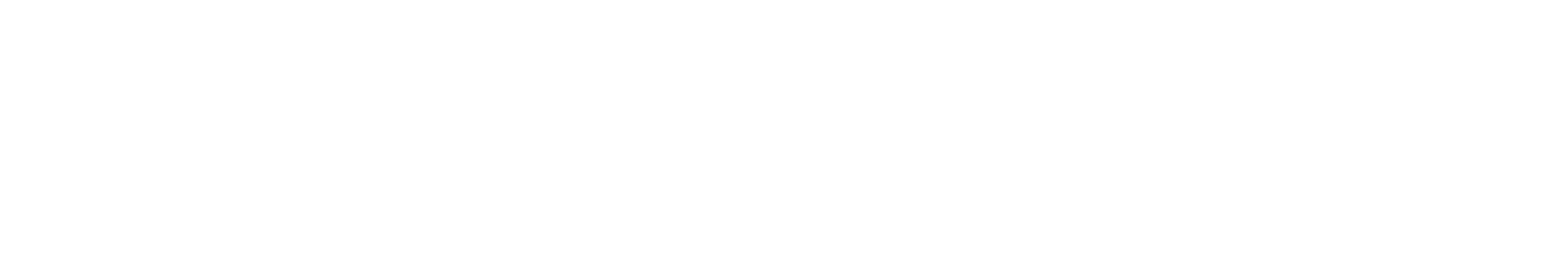 Deep Vision